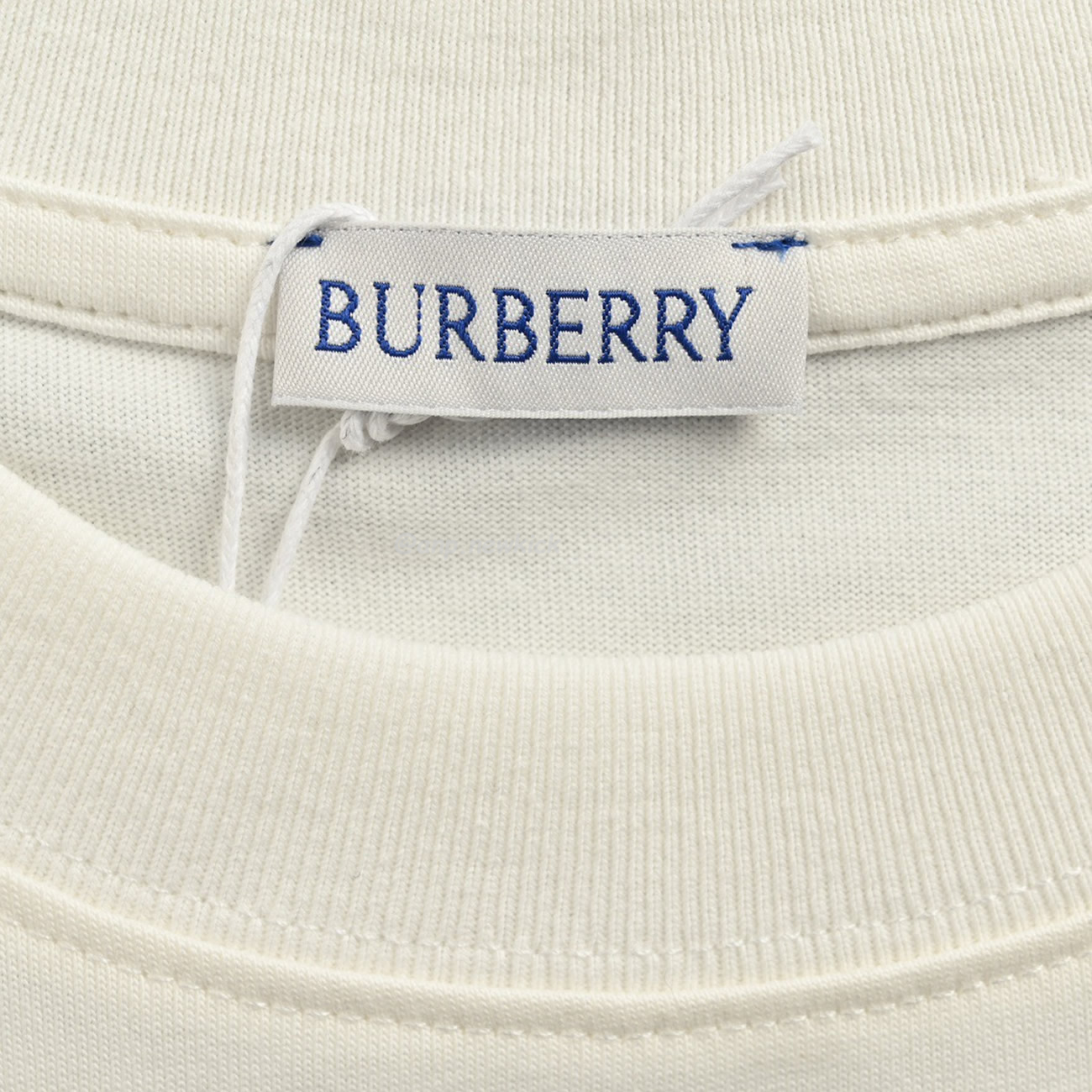 Burberry Embroidered Logo Little Duck Cotton T Shirt (4) - newkick.org